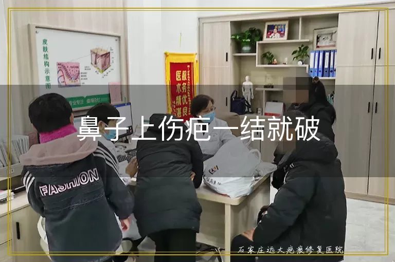 鼻子上伤疤一结就破